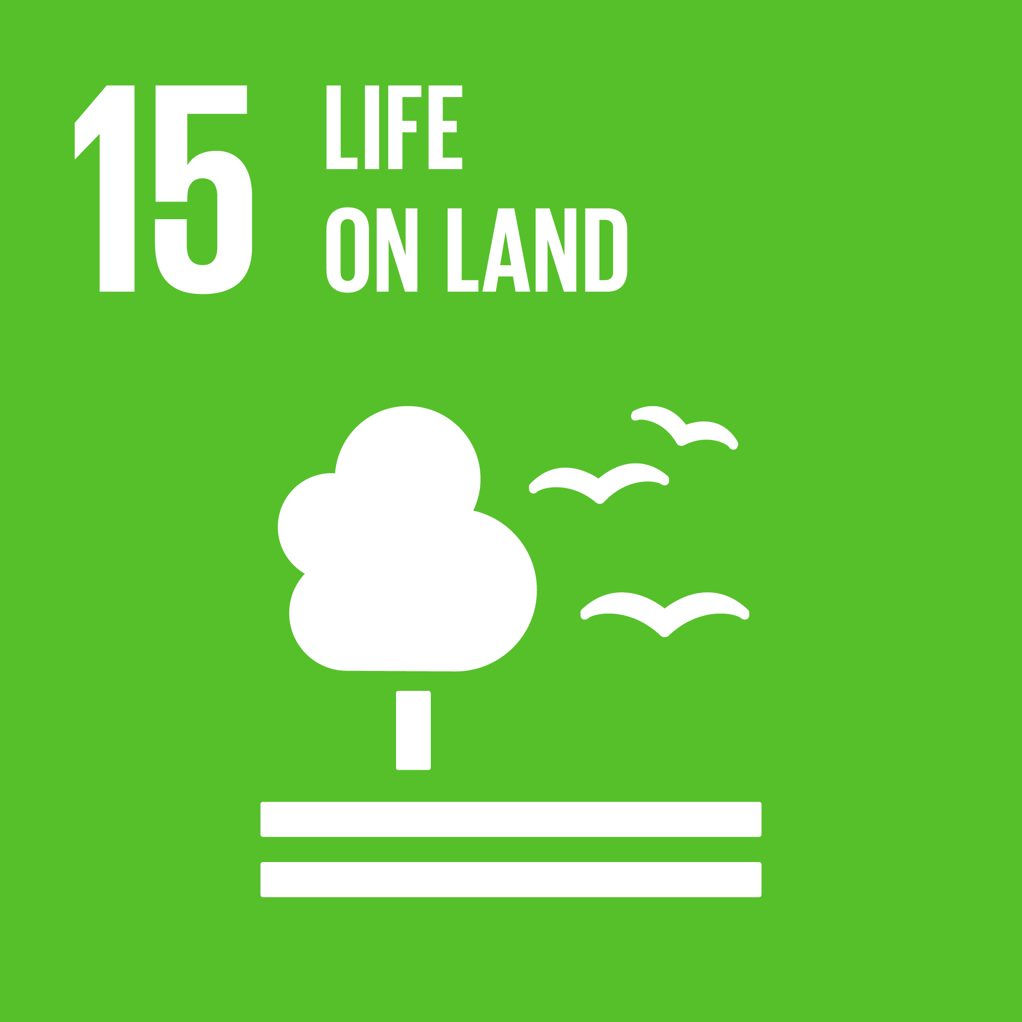 TheGlobalGoals_Icons_Color_Goal_15